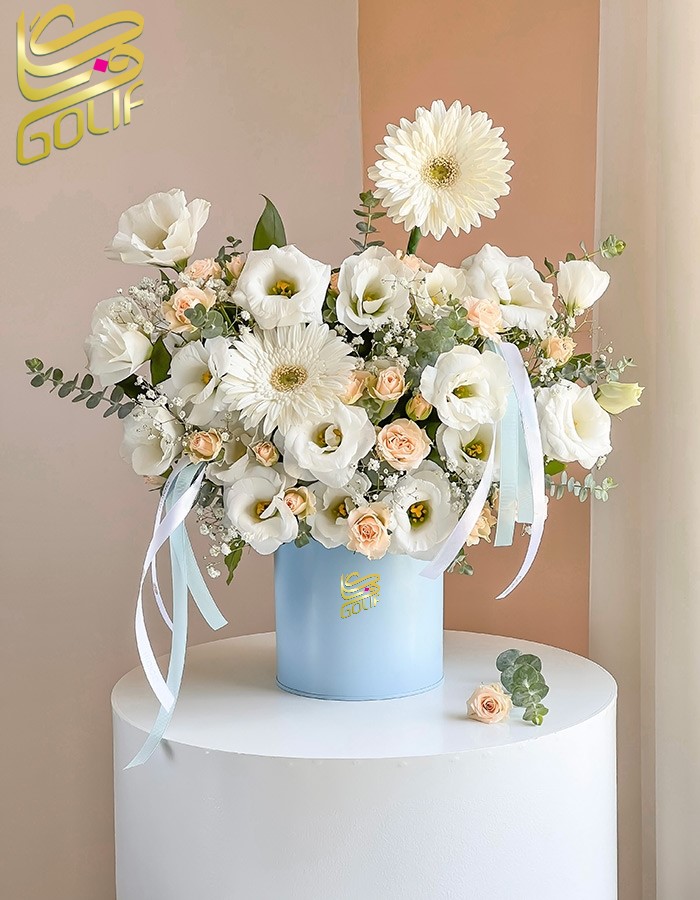 باکس گل تبریک عاشقانه هدیه تولد عیادت نوزاد فوق لاکچری ارسال رایگان زیبا لاکچری ارسال فوری سریع گل فروشی آنلاین گل فروشی گلیف golif جعبه گل زیبا لاکچری آنترویم لیلیوم ارکیده